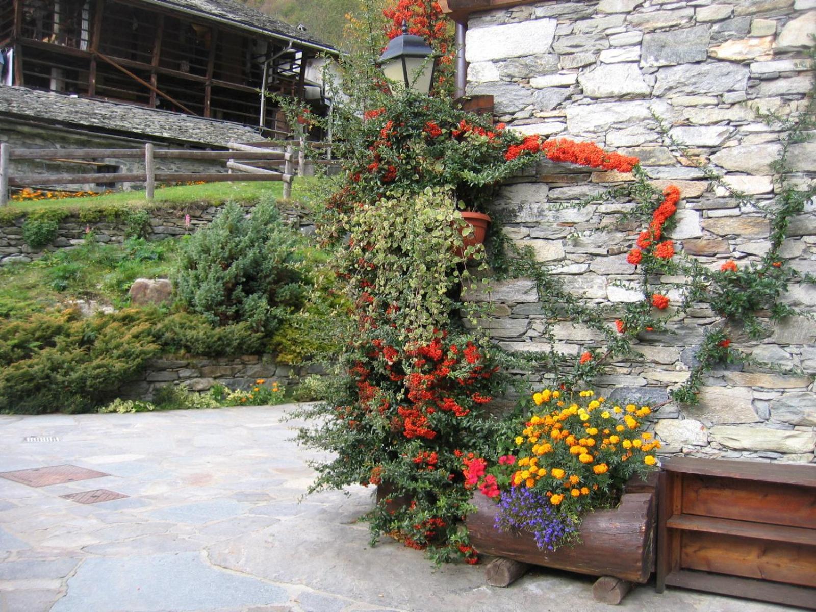 Baita Reale Alagna Valsesia Exteriér fotografie